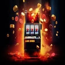 555bet com slots