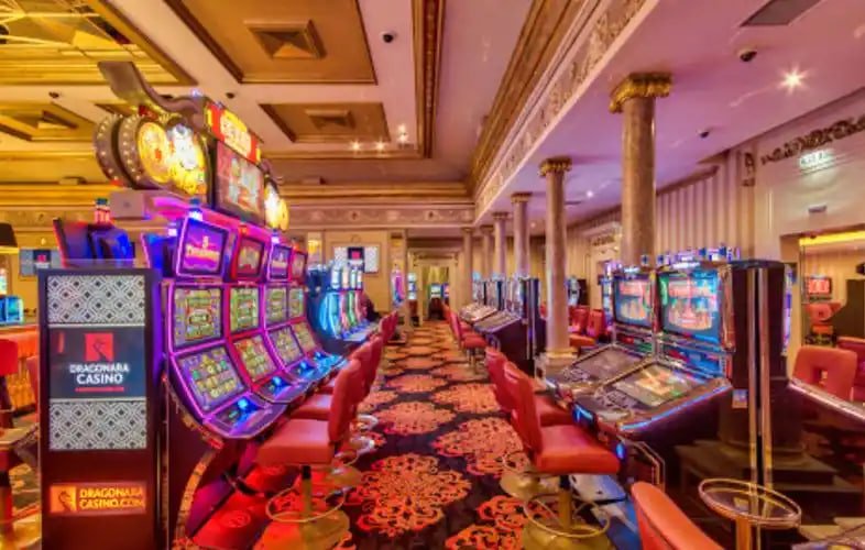 555bet com slots